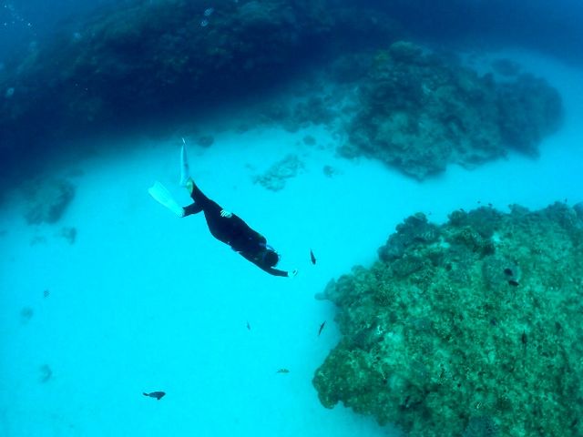 冬なのに… 海の中へ…☆+°_aqua ring