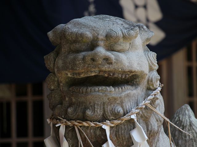本殿前の狛犬。_六殿神社