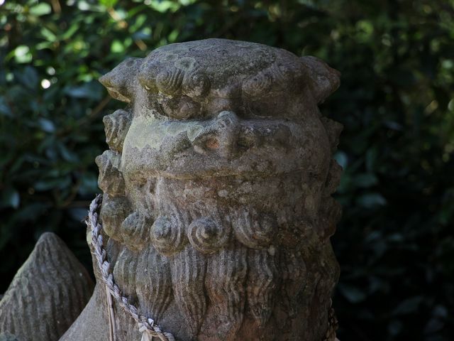 いい面構えです。_六殿神社