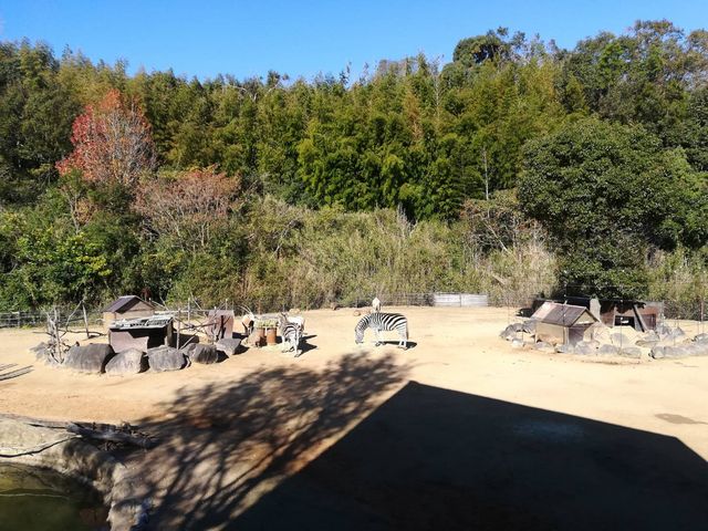広々とした展示_とくしま植物園
