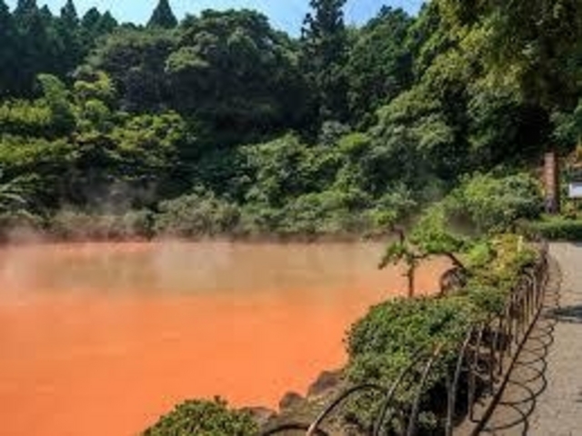 入場料が必要。_血の池地獄