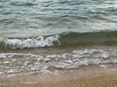 ぴーのさんの前浜ビーチへの投稿写真1