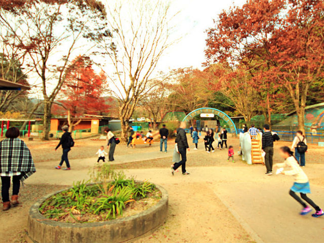 家族連れでにぎわっています_福知山市動物園