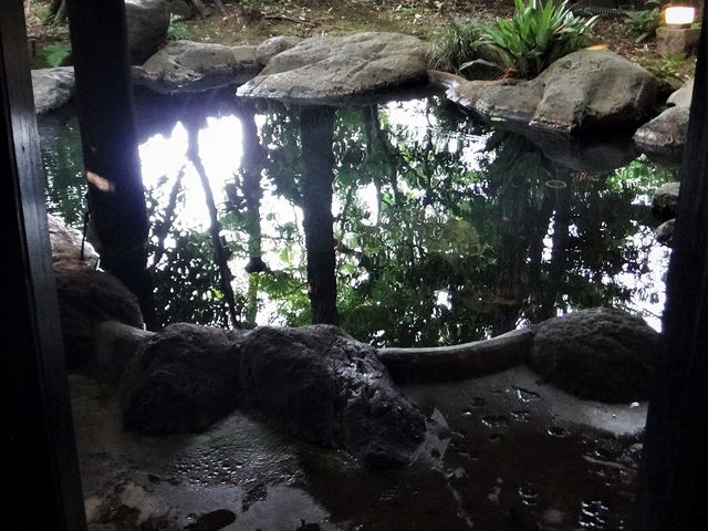 周りは木々に囲まれています。_阿蘇内牧温泉 親和苑