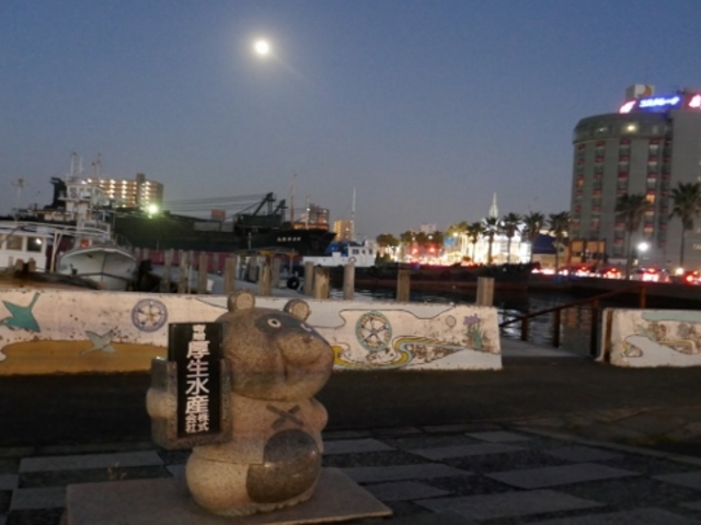 厚生水産前の狸_木更津海岸