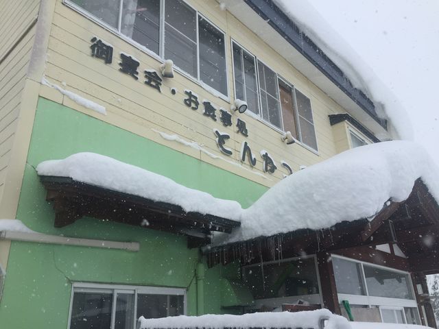 とんかつ和_とんかつ和