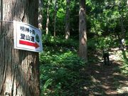 まるさんの明神ヶ岳の投稿写真1