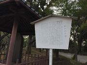 ヒロシさんの飛鳥山公園の桜の投稿写真1