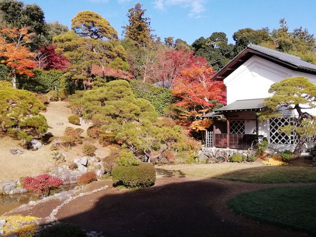 のほほん気分さんの能仁寺庭園の投稿写真1