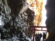 マロンさんの大御神社の投稿写真2