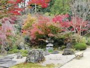 DoubleO7さんの善水寺 庭園の投稿写真2