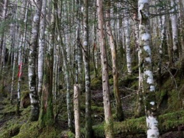 景色_天狗山