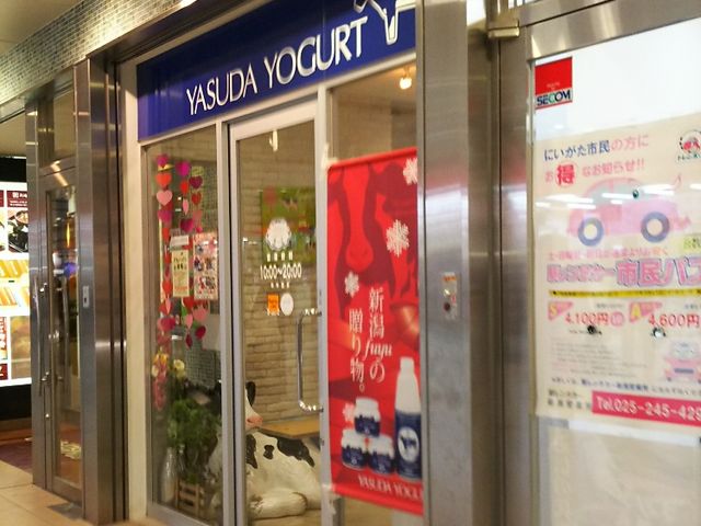 外観_ヤスダヨーグルトショップ 新潟駅ビルCoCoLo 南館店