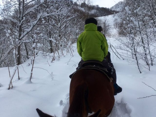 2月。深い雪道を頑張って登ってくれました。_レイクトーヤランチ