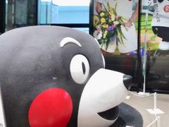 きぬきぬさんのJR熊本駅への投稿写真1