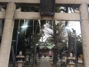 Kuda12さんの柴又八幡神社の投稿写真1