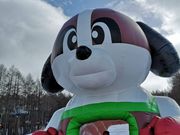 ほーぱぱさんのエーデルワイススキーリゾートの投稿写真1