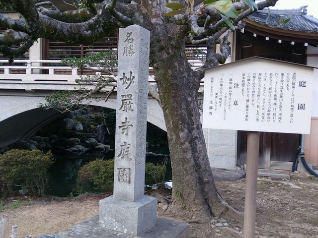 妙厳寺庭園_妙厳寺庭園