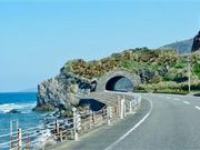 甘辛熊さんのかがんばなトンネルの投稿写真1