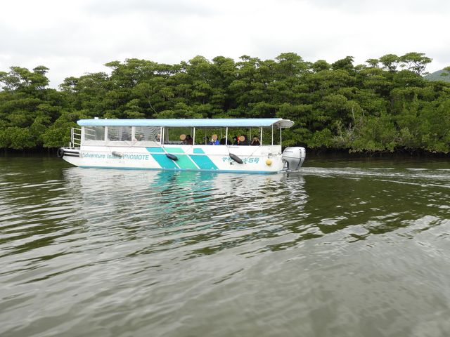仲間川遊覧船_仲間川遊覧