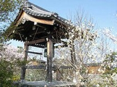 光明寺の写真1