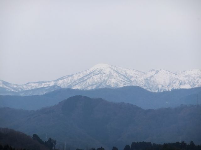 萬松園