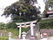 こぼらさんの萬松園の投稿写真1