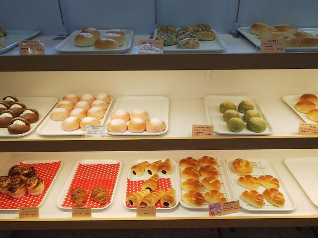 一例_あんですMATOBA