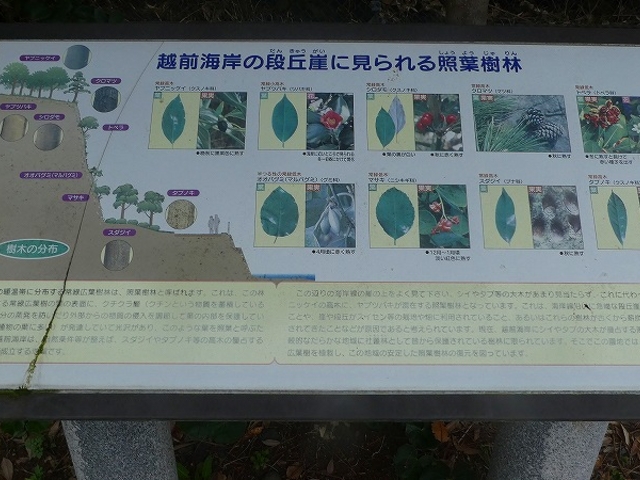福井県・越前加賀海岸国定公園・呼鳥門 _呼鳥門