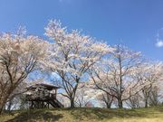 NoreMさんの大池公園ふれあいの里 ログハウスの投稿写真2