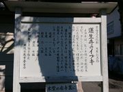 つうさんの蓮生寺のイブキの投稿写真1