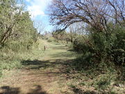 マイBOOさんの明星ケ岳の投稿写真1