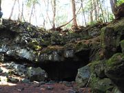 坊ちゃんさんの株式会社 Mt.Fuji Nature Travelの投稿写真1