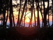 なおみんさんのレストランサンフラワーの投稿写真1