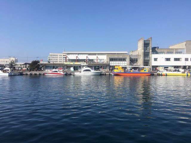 水は綺麗めで透けてました。_三崎港