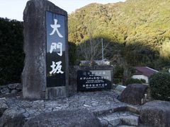 JOEさんの熊野古道 大門坂への投稿写真1