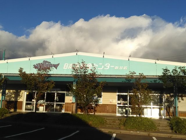 日本海鮮魚センター新井道の駅店_日本海鮮魚センター新井店