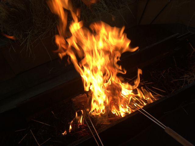ファイヤー♪_土佐かつおタタキ道場