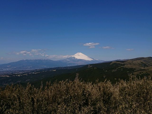 晴れれば最高!_箱根・十国峠レストハウス