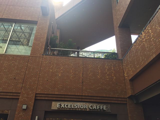 エクセルシオールカフェ新お茶の水店_エクセルシオールカフェ新お茶の水店