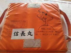 みーりーぶーさんの長良川鵜飼観覧船への投稿写真1