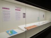 雷雷クーンさんの天理ギャラリーの投稿写真2