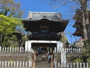 アジのタタキさんの紅龍山布施弁天東海寺の投稿写真1