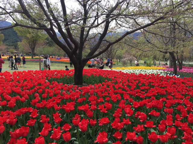 あづみの公園_国営アルプスあづみの公園 堀金・穂高地区