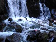 みーりーぶーさんの瓜割の滝の投稿写真2