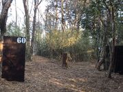 みみずくさんのサバっちゃアウトドアの投稿写真3