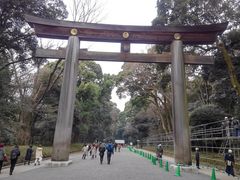 明治神宮の写真1