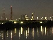 hotaruさんの浜寺公園の投稿写真1