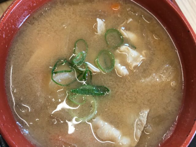 写真_吉野家102号弘前店