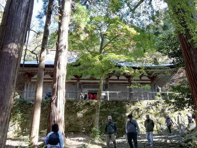 石垣の上に建つ本堂です_百済寺 本堂